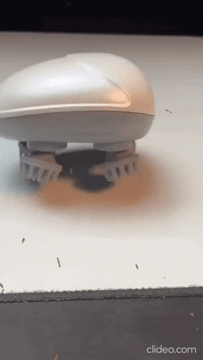 Scalp Massager